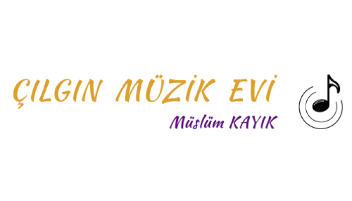 Çılgın Müzik Markuvo is a global digital agency specializing in professional web design, e-commerce development, Google Ads management, and SEO services. We help busines
